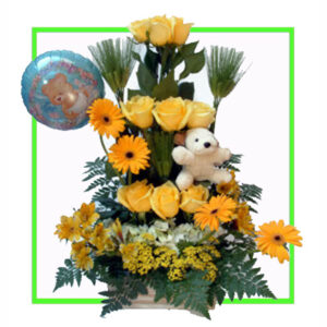 B-15-YR-GER-TEDDY-4