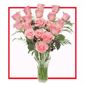 IF-N15PR-VASE-4