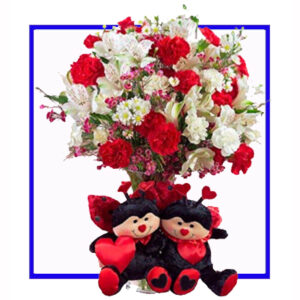 N-20-RW-C-TEDDY-4