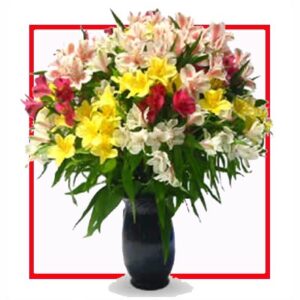 N-20-YP-Lillies-4